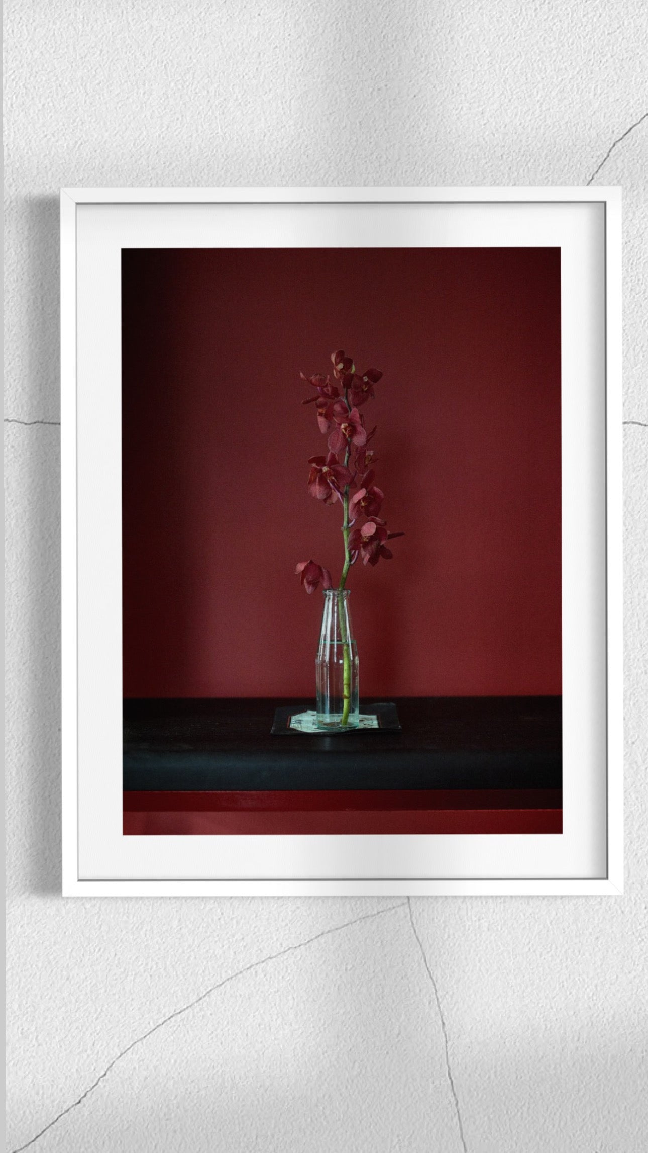 “Ode to Sheila Metzner”